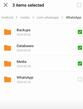 Transfer WhatsApp Messages